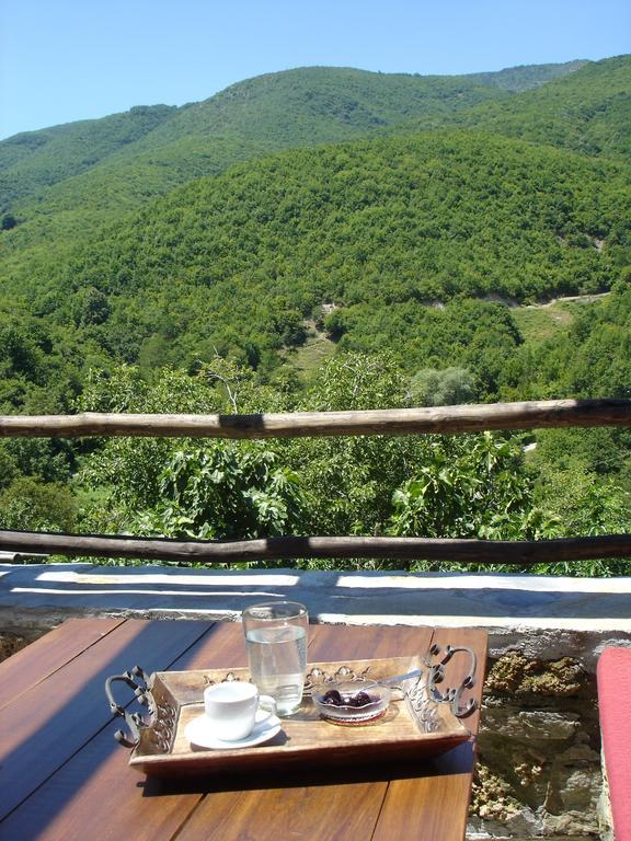 Villa Vadola Arkochorion Dış mekan fotoğraf